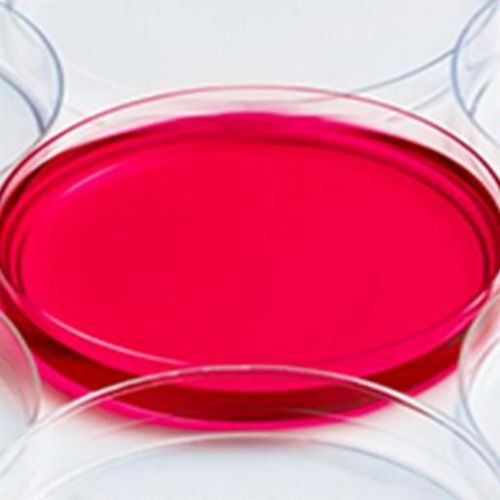 Đĩa Petri nhựa 90x15mm LPR90158